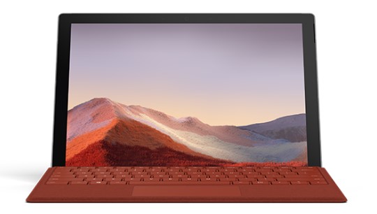 阿拉尔清洁和维护 Surface